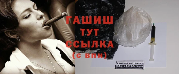 прущие грибы Бердск