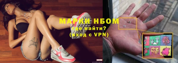 прущие грибы Бердск