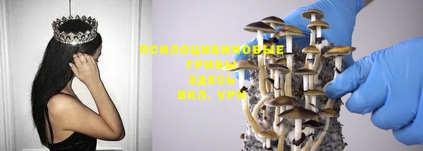 тгк Кинешма