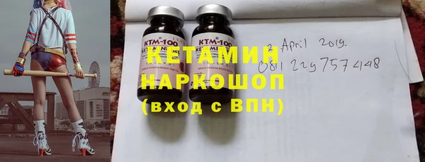 прущие грибы Бердск