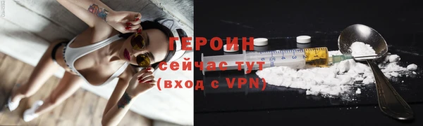 прущие грибы Бердск
